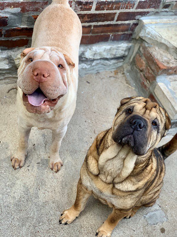 Hamish and Lilly